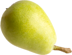 pear-image