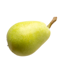 pear-image